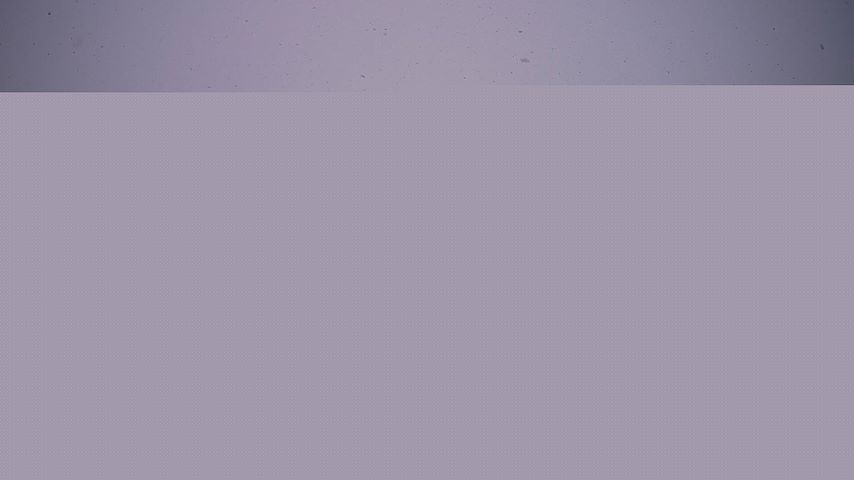 Damüls, Alpenstern Panoramahotel Image