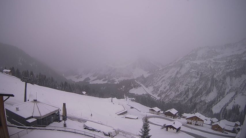 Damüls, Alpenstern Panoramahotel Image