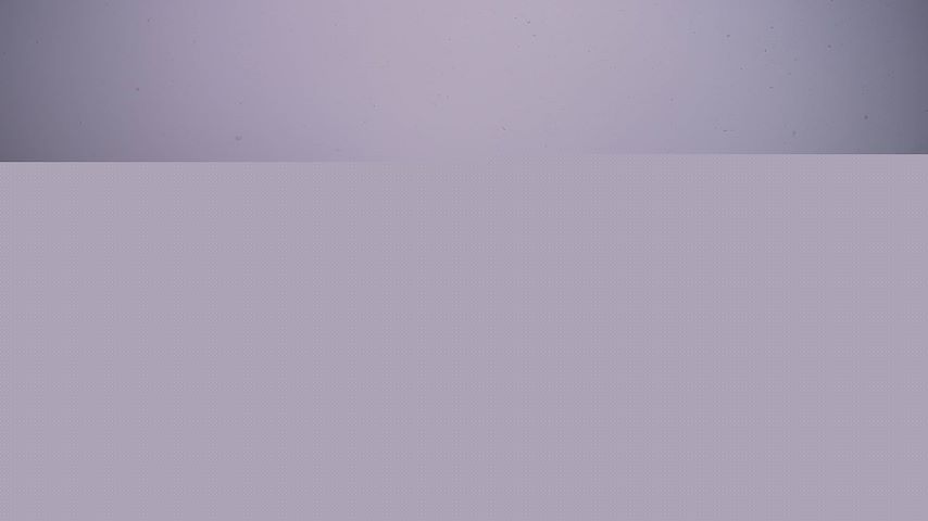 Damüls, Alpenstern Panoramahotel Image