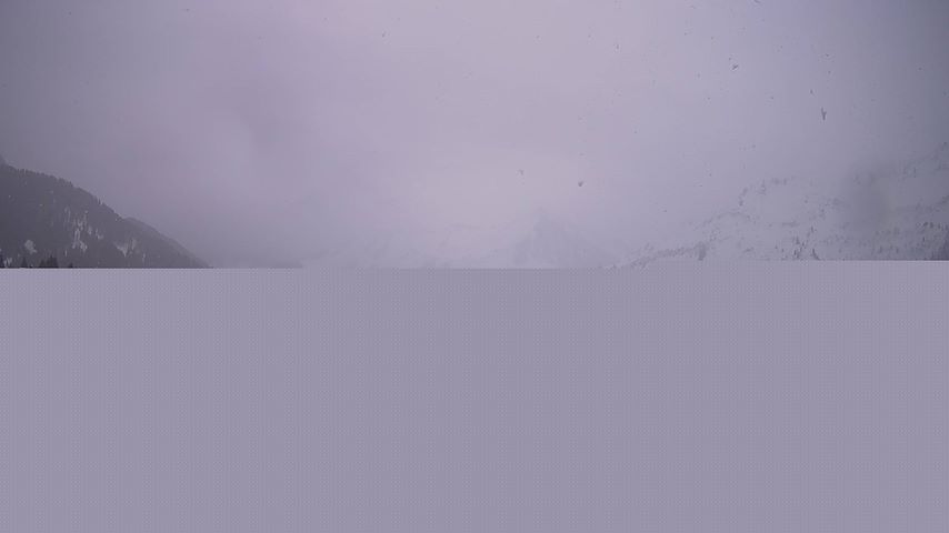 Damüls, Alpenstern Panoramahotel Image