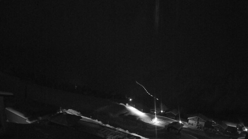 Damüls, Alpenstern Panoramahotel Image