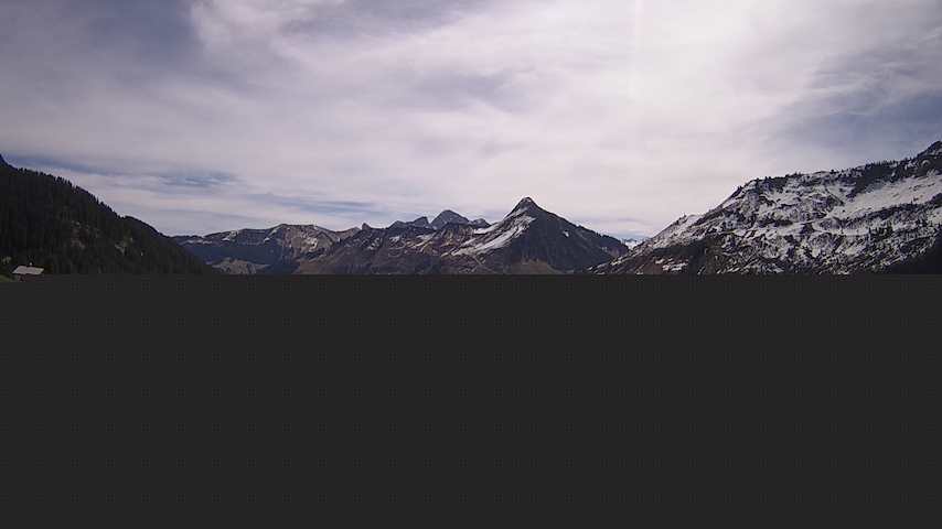 Damüls, Alpenstern Panoramahotel Image