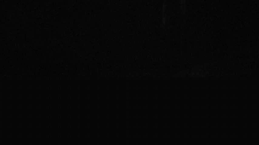 Damüls, Alpenstern Panoramahotel Image