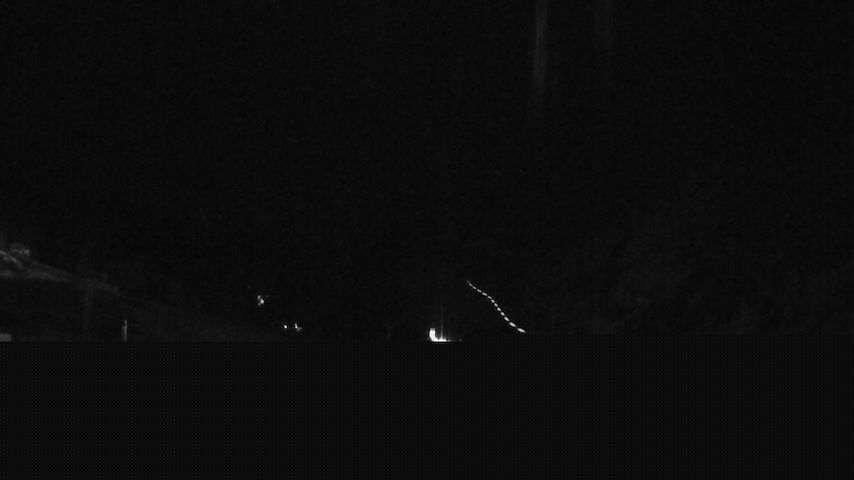 Damüls, Alpenstern Panoramahotel Image