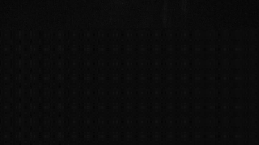 Damüls, Alpenstern Panoramahotel Image