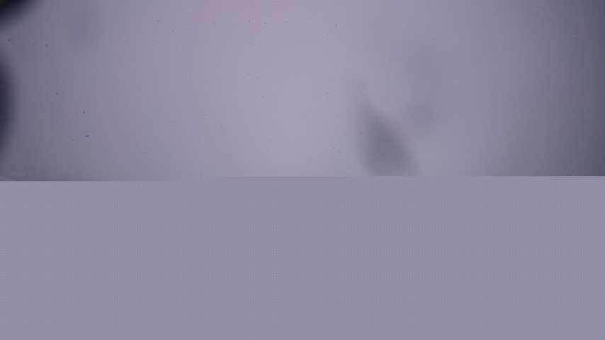 Damüls, Alpenstern Panoramahotel Image