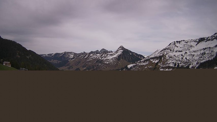 Damüls, Alpenstern Panoramahotel Image