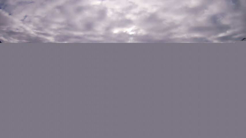 Damüls, Alpenstern Panoramahotel Image