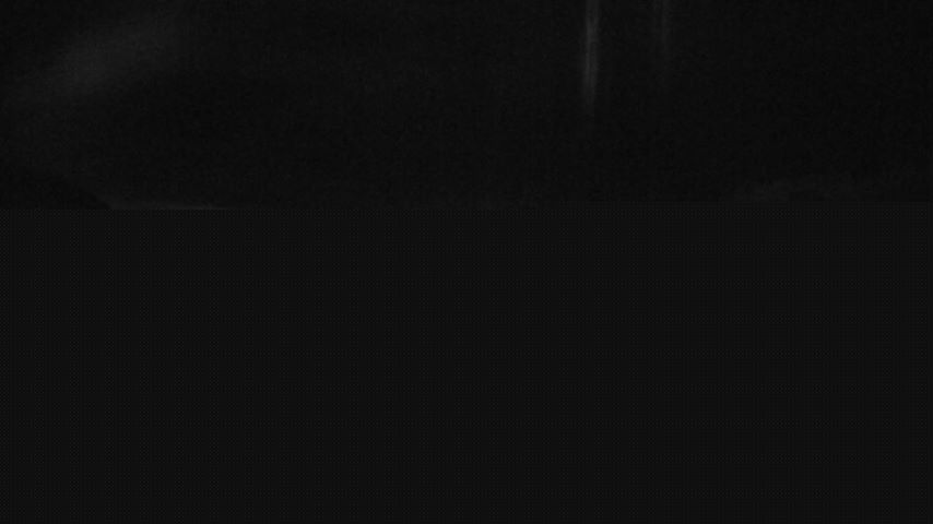 Damüls, Alpenstern Panoramahotel Image