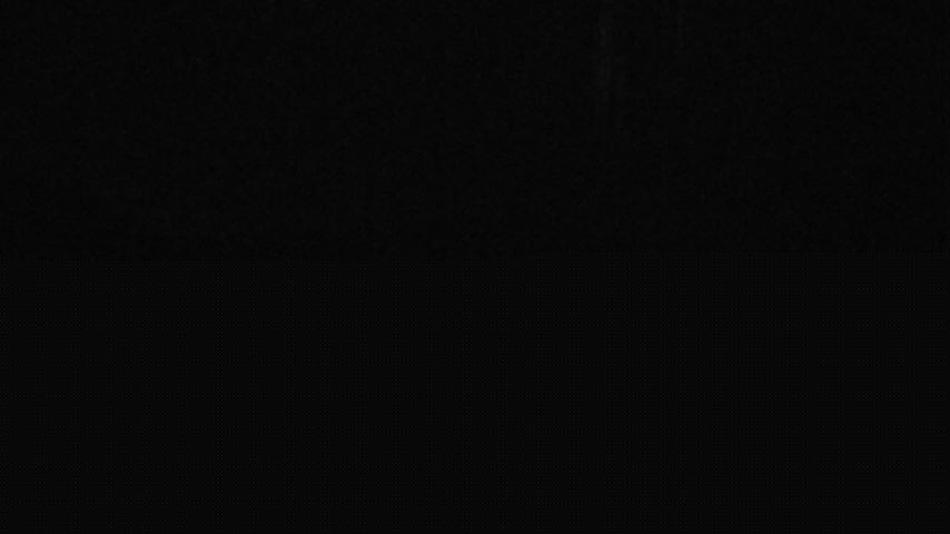 Damüls, Alpenstern Panoramahotel Image