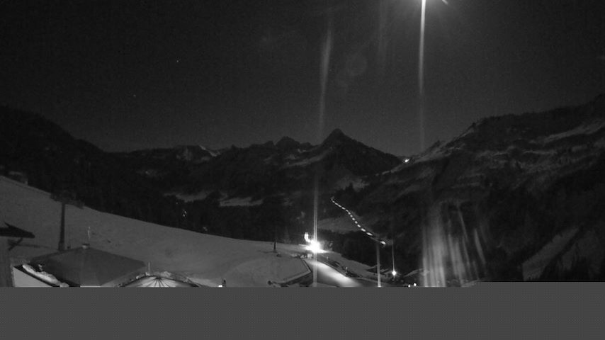 Damüls, Alpenstern Panoramahotel Image