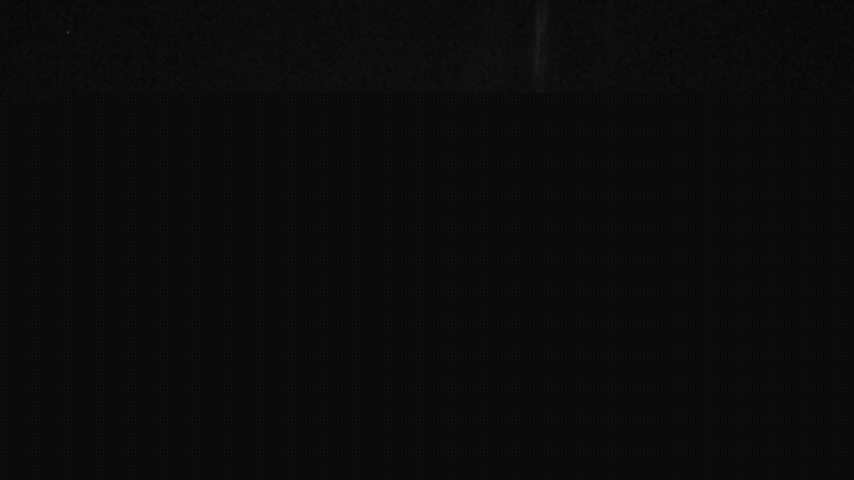 Damüls, Alpenstern Panoramahotel Image