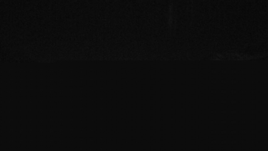 Damüls, Alpenstern Panoramahotel Image