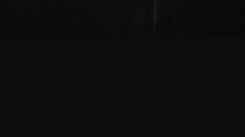 Damüls, Alpenstern Panoramahotel Image