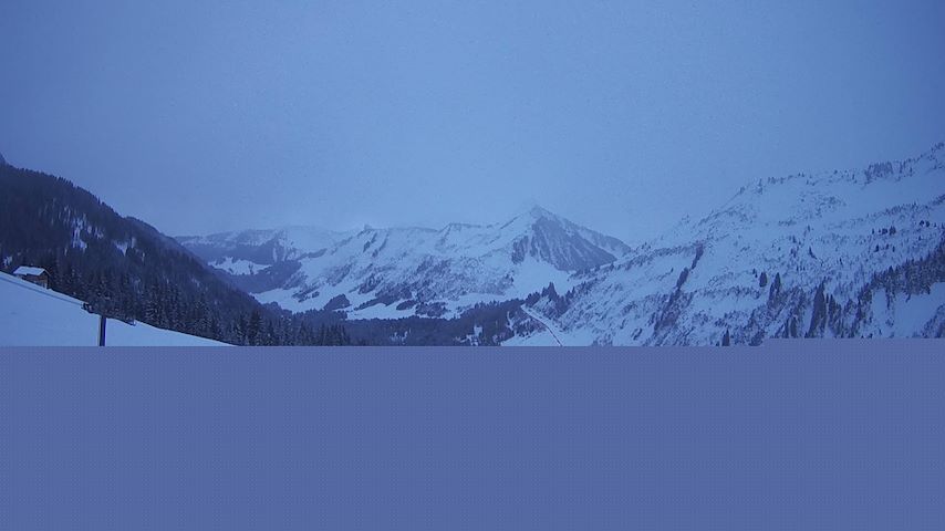 Damüls, Alpenstern Panoramahotel Image