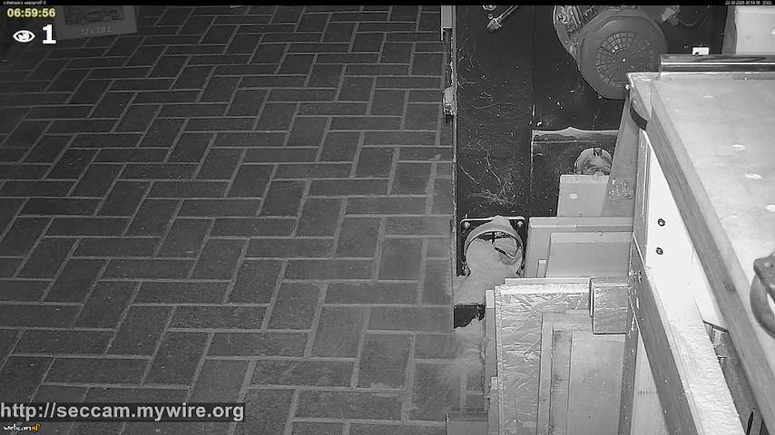 Live camera feed from Littlehook's woodworking shop in Indoor woodworking shop