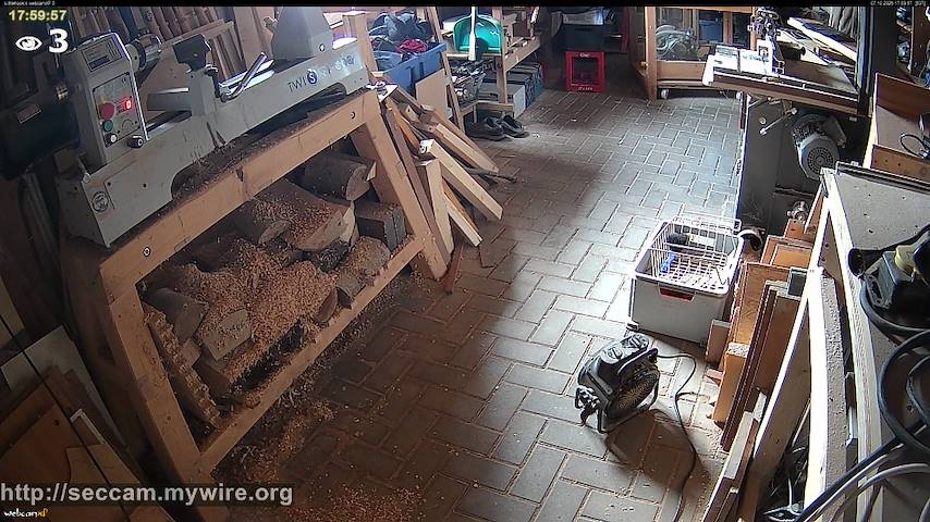 Live camera feed from Littlehook's woodworking shop in Indoor woodworking shop