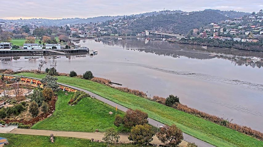 Tamar Estuary Image
