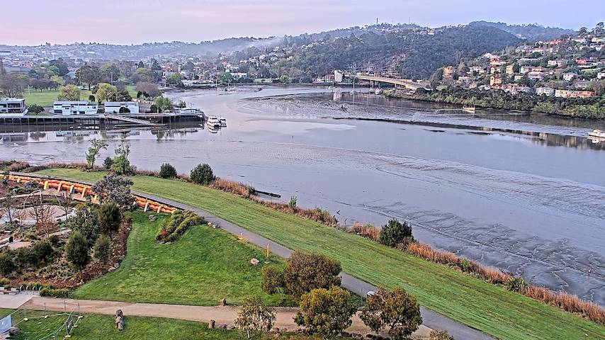Live camera feed from Tamar Estuary in Launceston, Tasmania