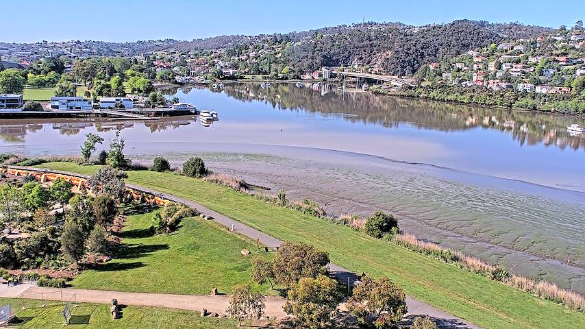 بث كاميرا مباشر من Tamar Estuary في Launceston, Tasmania