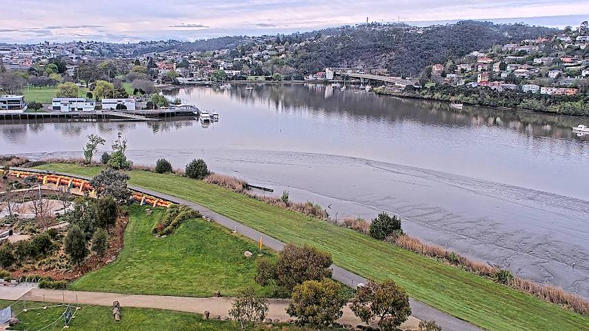 Live camera feed from Tamar Estuary in Launceston, Tasmania