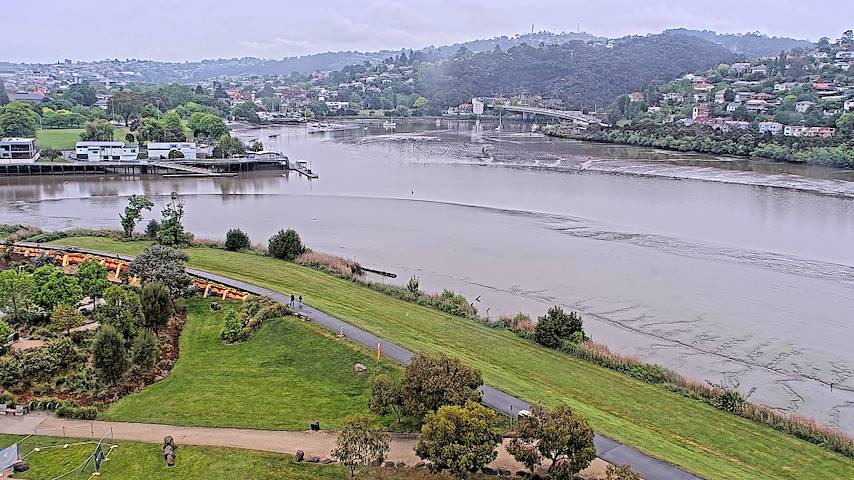 Live camera feed from Tamar Estuary in Launceston, Tasmania