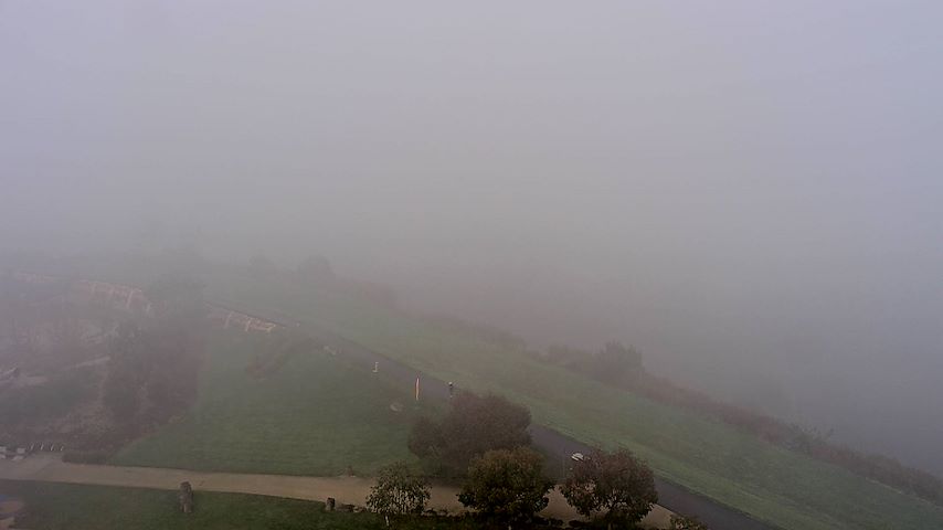 Tamar Estuary Image