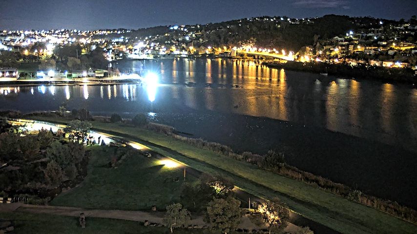 Tamar Estuary Image