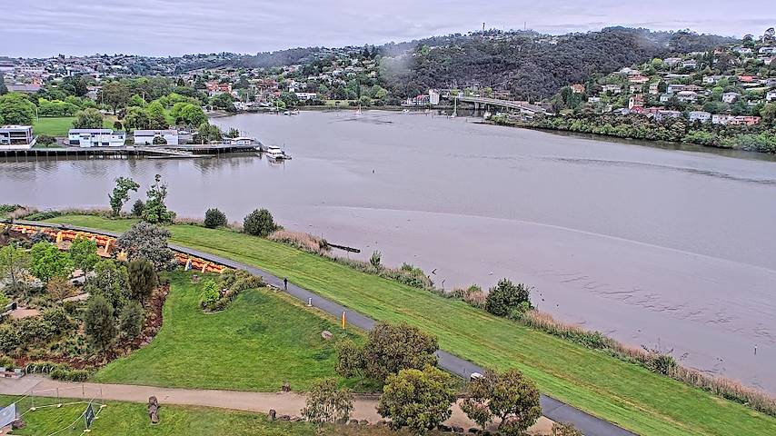 Live-kamerakanal från Tamar Estuary i Launceston, Tasmania