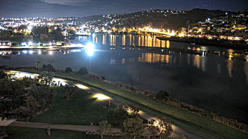 Tamar Estuary Image