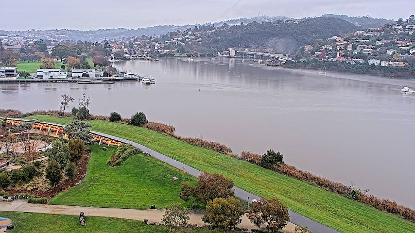 Tamar Estuary Image