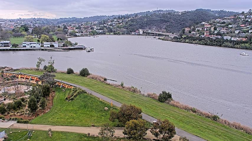 Live camera feed from Tamar Estuary in Launceston, Tasmania