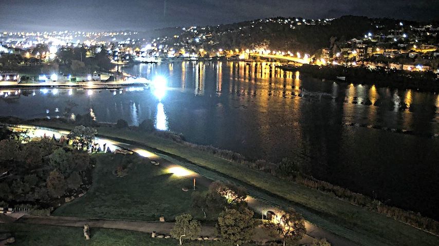 Tamar Estuary Image