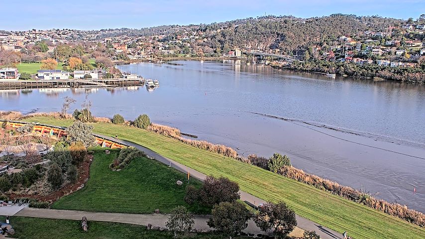 Tamar Estuary Image