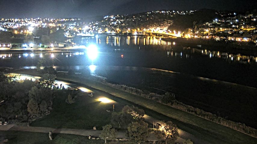 Tamar Estuary Image