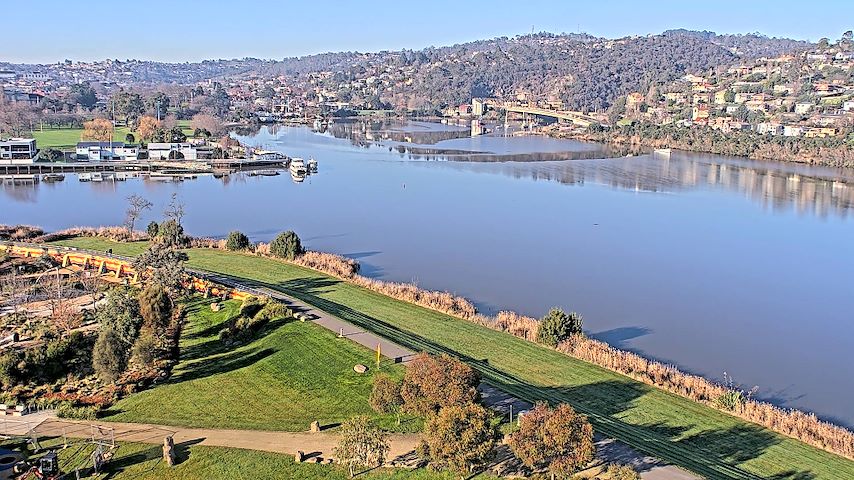 Live camera feed from Tamar Estuary in Launceston, Tasmania