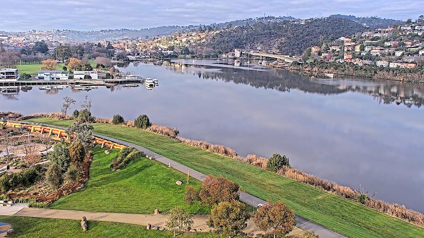 Tamar Estuary からのライブカメラチャンネル（Launceston, Tasmania）
