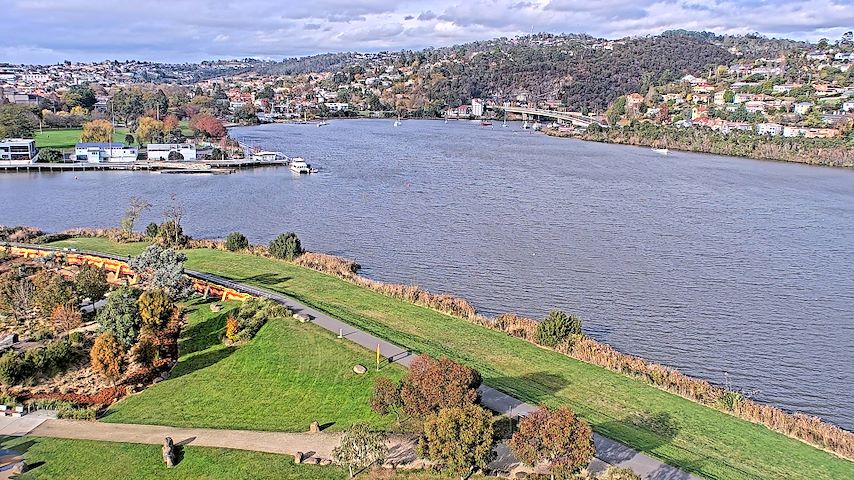 Tamar Estuary Image