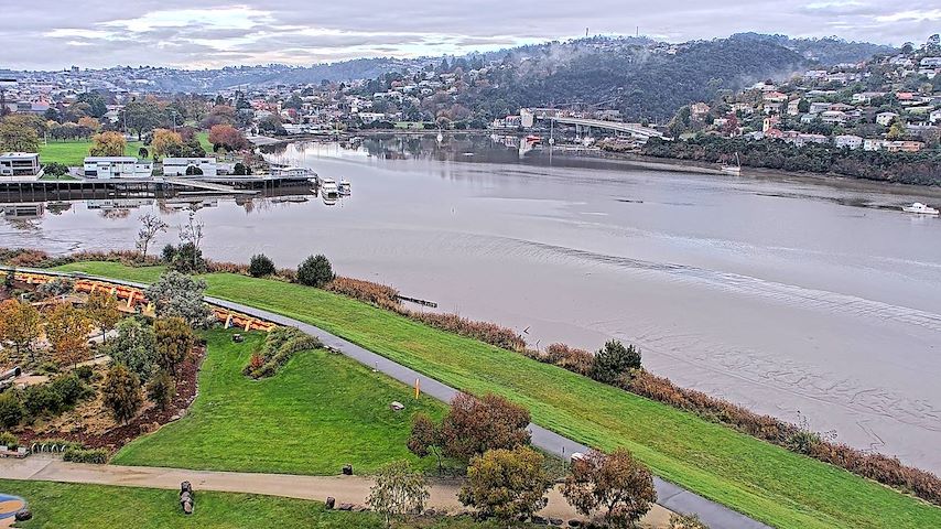 Tamar Estuary Image