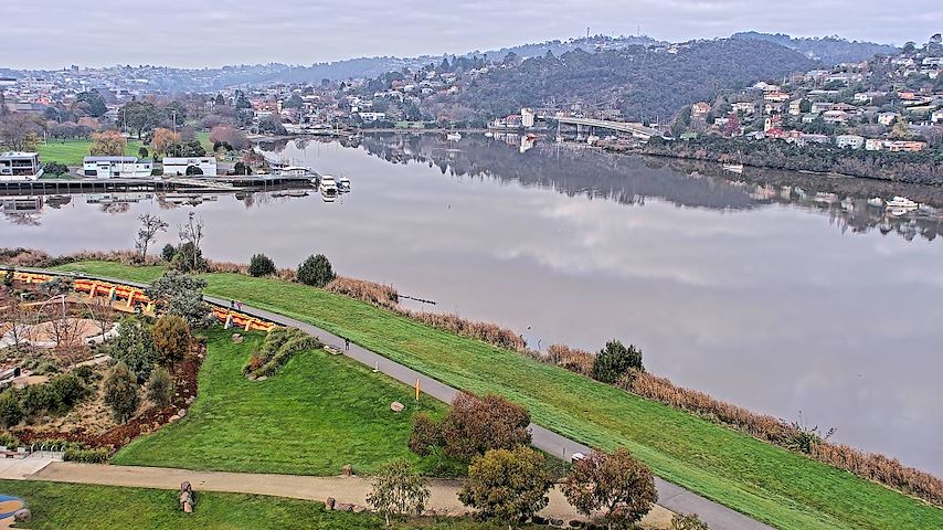 Tamar Estuary Image