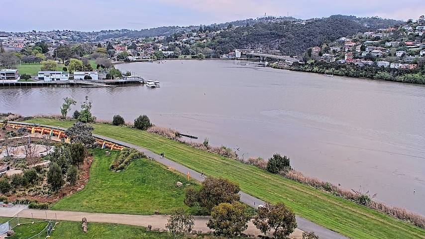 Live camerakanaal van Tamar Estuary in Launceston, Tasmania