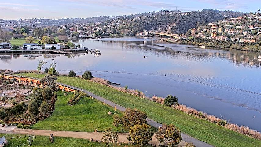 Élő kameracsatorna Tamar Estuary-ból Launceston, Tasmania-ben