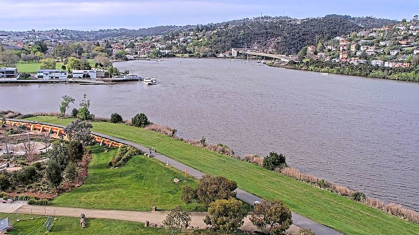 Live camera feed from Tamar Estuary in Launceston, Tasmania