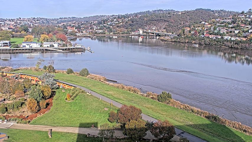 Tamar Estuary Image