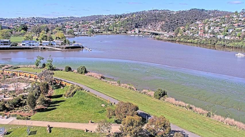 Live camera feed from Tamar Estuary in Launceston, Tasmania