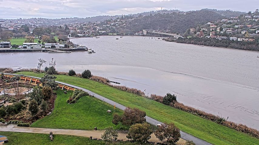 Tamar Estuary Image
