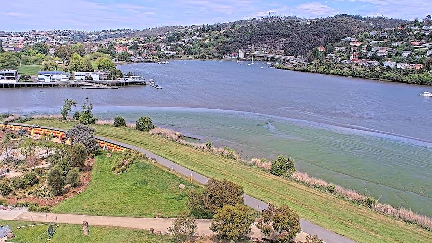 Live-kamerakanava Tamar Estuarylta Launceston, Tasmaniassä