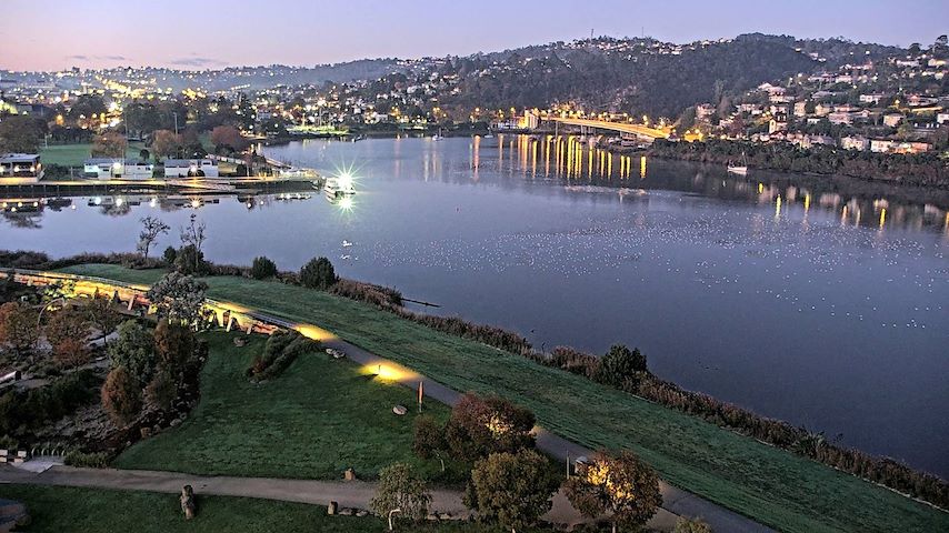 Tamar Estuary Image