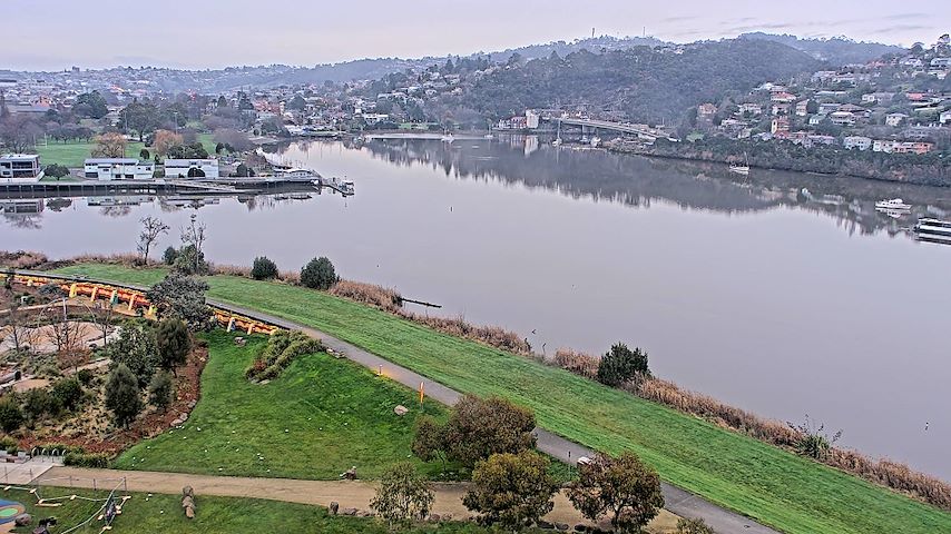 Kanal kamere v živo iz Tamar Estuary v Launceston, Tasmania