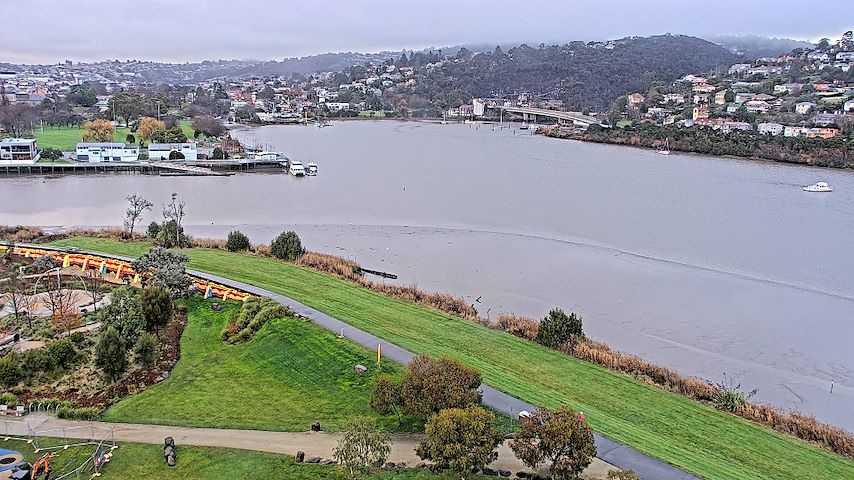 Live camera feed from Tamar Estuary in Launceston, Tasmania